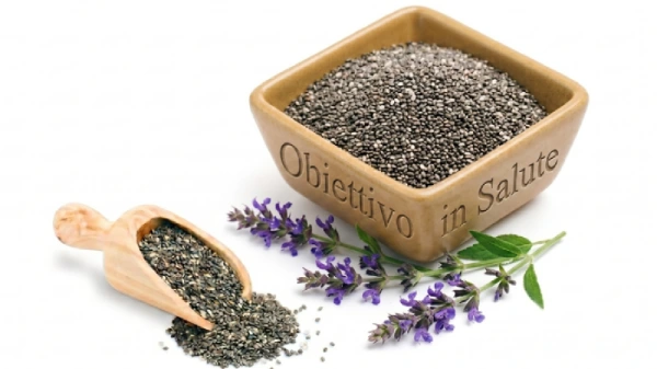 Ciotola quadrata color beige piena di semi di chia crudi con al fianco degli steli della pianta dei semi di chia e una paletta di legno piena di semi di chia