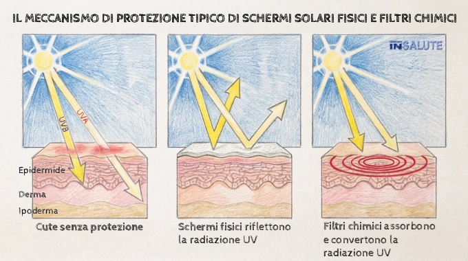 Schema del meccanismo di protezione tipico dei filtri fisici e chimici