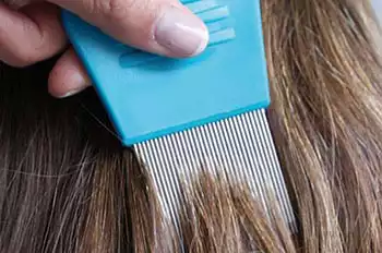 Pettine per pidocchi che passa tra i capelli castani di una bambina