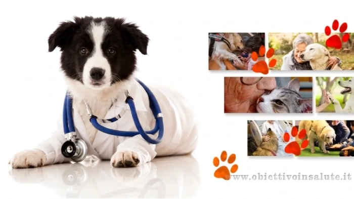 Un cane di razza Border Collie ha un camice da medico e uno stetoscopio blu a simboleggiare che gli animali domestici aiutano a curarci. Sullo sfondo sono presenti diverse immagini che rappresentano persone abbracciate ai loro cani e gatti