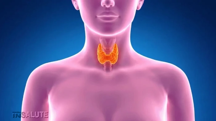 Figura femminile con evidenza della tiroide
