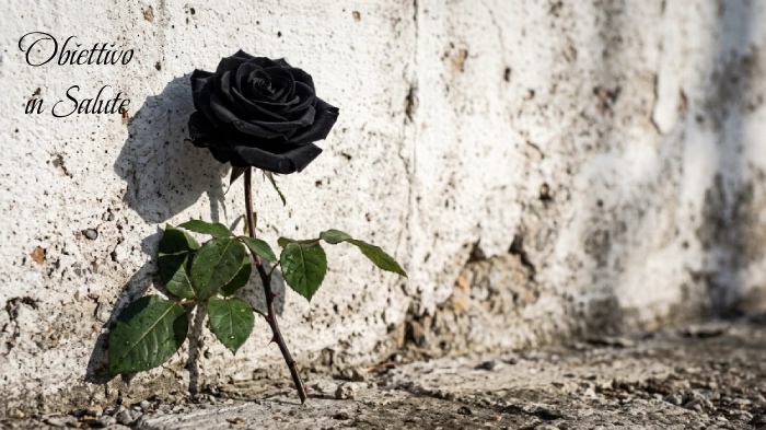 Una rosa recisa dai petali neri è appoggiata su un vecchio muro rovinato dal tempo. Questa immagine rappresenta la perdita e il lutto di una persona cara