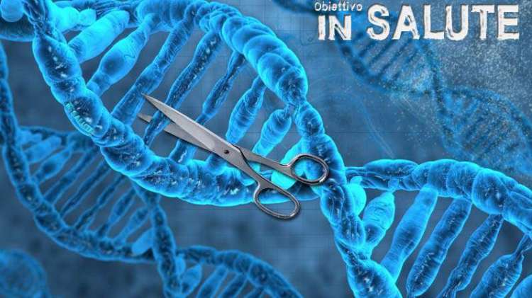 MODIFICA DEL DNA PER CONTRASTARE LE MALATTIE GENETICHE EREDITARIE